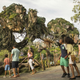 A glimpse at Pandora: The World of Avatar in Disney’s Animal Kingdom in Orlando, FL. All Images: Walt Disney World